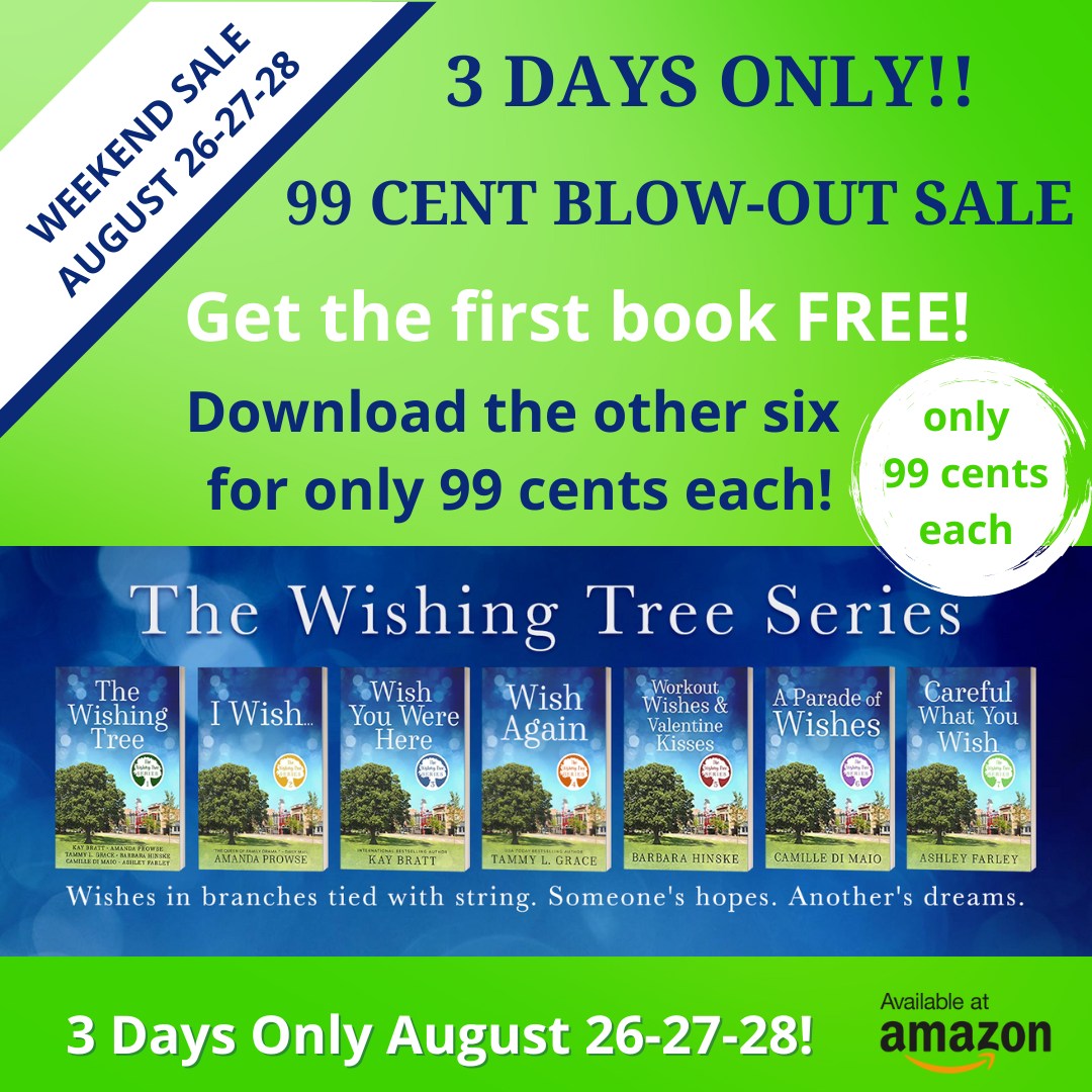 HUGE BLOW OUT SALE ON SMALL TOWN SERIES BY MULTI BESTSELLING AUTHORS